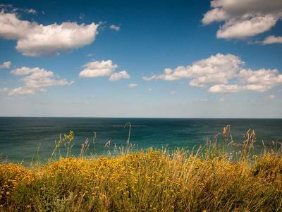 LoveLive! 星团 Only 3.0